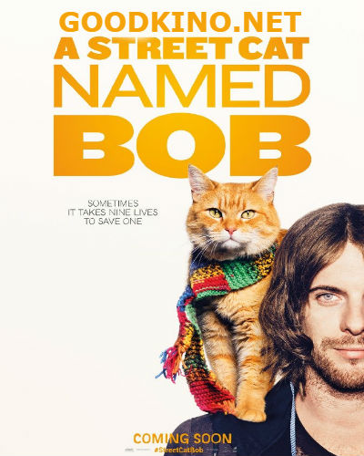 Уличный кот по кличке Боб (2016) 