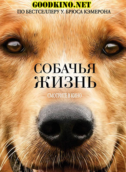 Собачья жизнь (2017) смотреть