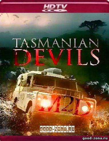 Тасманские дьяволы смотреть