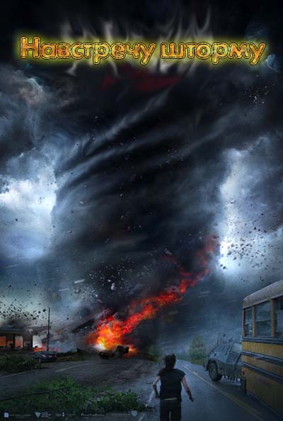 Навстречу шторму (2014) 