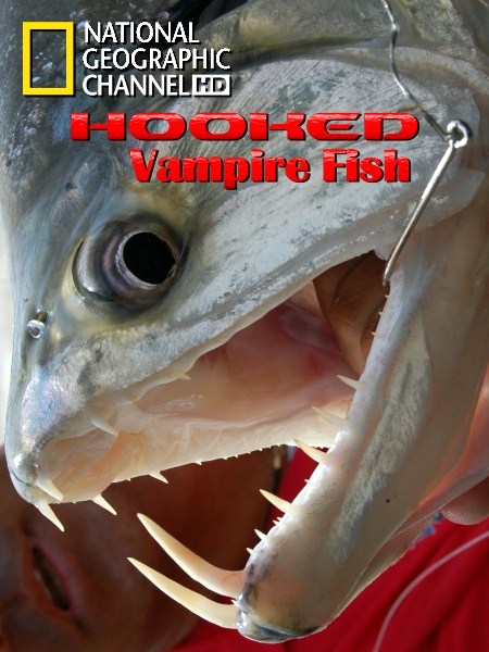 На крючке: Рыбы вампиры