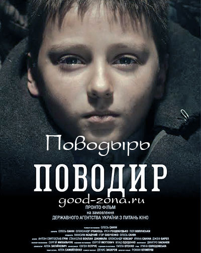 Поводырь (2014)